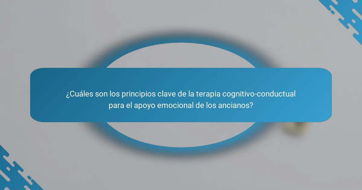 ¿Cuáles son los principios clave de la terapia cognitivo-conductual para el apoyo emocional de los ancianos?