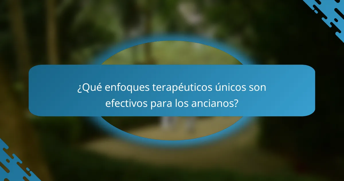 ¿Qué enfoques terapéuticos únicos son efectivos para los ancianos?
