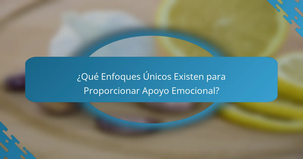 ¿Qué Enfoques Únicos Existen para Proporcionar Apoyo Emocional?